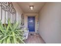 Welcoming front porch featuring a blue door, brick flooring, and stylish decor at 11327 Brighton Knoll Loop, Riverview, FL 33579