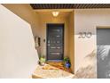 Close-up of a modern front door with stylish details, potted plants, and the house number clearly displayed at 200 Lamara Ne Way, St Petersburg, FL 33704