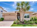 Well-maintained single-story home with a two-car garage, stone accents, and manicured landscaping at 3060 Mountain Spruce Ter, Wesley Chapel, FL 33543