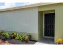 Close-up of the home's entrance, showcasing the black front door and manicured landscaping at 1040 Bridlewood Way, Brandon, FL 33511