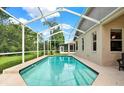 Inviting screened-in pool with clear blue water, surrounded by a patio and lush landscaping at 4901 Windingbrook Trl, Wesley Chapel, FL 33544
