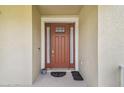 Classic brown front door with sidelights and decorative window, enhancing curb appeal at 7024 Bradbury Cir, Wesley Chapel, FL 33545