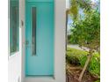 Stylish turquoise front door adds a pop of color, framed by lush landscaping and a modern aesthetic at 3100 W Paul Ave # 14, Tampa, FL 33611