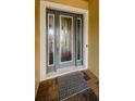 Close-up of front door featuring glass panes and detailed trim at 4222 Glade Wood Loop, New Port Richey, FL 34655