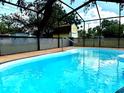 A screened-in pool is filled with clear blue water, with a shed in the back yard at 4407 Westwood Dr, Holiday, FL 34691