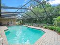 Screened-in pool area, perfect for outdoor relaxation and entertainment at 4610 Westford Cir, Tampa, FL 33618