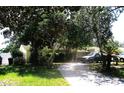 Charming single-story home with a well-manicured lawn and mature trees lining the driveway at 5468 26Th N Ave, St Petersburg, FL 33710