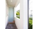 Inviting front entrance with a light blue door and a decorative cat planter at 2435 Foggy Creek Cir, Clearwater, FL 33764