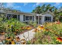 Inviting single-story home featuring a stone walkway and a garden with yellow and green plants at 4206 W Palmira Ave, Tampa, FL 33629