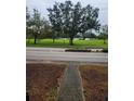 Beautiful view of a local park near the property, providing open space and recreational opportunities at 535 22Nd N Ave, St Petersburg, FL 33704