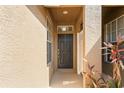 Inviting front door featuring a traditional design with sidelights and plants at 18809 Duquesne Dr, Tampa, FL 33647