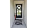 Inviting entryway with a wreath-adorned glass door, a decorative mat, and a whimsical statue at 1905 Blue Stream St, Ruskin, FL 33570