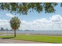 Breathtaking waterfront view showcases a palm tree along Bayshore Boulevard under a beautiful, cloudy sky at 3325 Bayshore Blvd # A17, Tampa, FL 33629