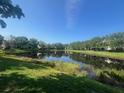 Scenic community pond reflecting the clear blue sky and surrounding lush green trees at 14618 Mirabelle Vista Cir, Tampa, FL 33626