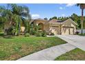 Charming single-story home with well-maintained lawn, landscaping, and mature palm tree at 1835 Fircrest Ct, Wesley Chapel, FL 33543