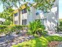 A well-maintained condo exterior with mature trees and landscaping enhancing the property's curb appeal at 401 Windrush Bay Dr, Tarpon Springs, FL 34689