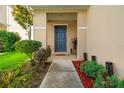 Inviting front entrance with landscaping, featuring a well-lit porch and a sleek, modern door at 17509 Queensland St, Land O Lakes, FL 34638