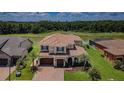 Aerial view of home showcasing tile roof, lush landscaping, and serene water views at 29038 Picana Ln, Wesley Chapel, FL 33543