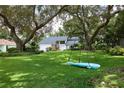 Charming front yard with a tree swing, mature trees and a lush green lawn at 15917 Dover Cliffe Dr, Lutz, FL 33548