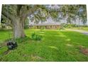 Spacious front yard with mature trees and a tree swing, leading to a brick home at 3505 Medulla Rd, Plant City, FL 33566