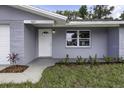 Close up of single-story home's entrance featuring a gray exterior, front door, and manicured landscaping at 7625 Marechal Ave, Port Richey, FL 34668