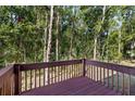 Wooden deck surrounded by serene, lush greenery at 4920 Anniston Cir, Tampa, FL 33647