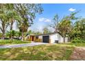View of the side of the charming single-story home featuring a gray driveway and tropical landscaping at 5614 Bay Boulevard, Port Richey, FL 34668