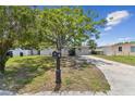 Well-maintained single-story home featuring a lush green lawn and mature trees at 7704 Tanglewood Ln, Tampa, FL 33615