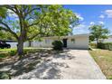 Quaint single-story home with a shade tree and freshly painted white brick at 7704 Tanglewood Ln, Tampa, FL 33615