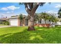 Attractive ranch-style house with lush green lawn and mature landscaping at 1667 E Orangeside Rd, Palm Harbor, FL 34683