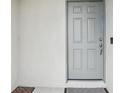 Front door of this home, perfect for coming home after a long day at 30352 Elderwood Dr, Wesley Chapel, FL 33543