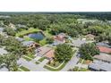 Aerial view of a neighborhood with houses, mature trees, and a scenic lake at 11022 Connacht Way, Tampa, FL 33610