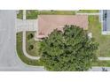 Birds eye view of a cozy single Gathering home with mature trees at 11022 Connacht Way, Tampa, FL 33610