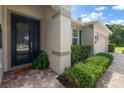 Inviting entryway featuring a stylish front door, lush landscaping, and a paver walkway leading to the home at 19409 Wingrove Ln, Lutz, FL 33558