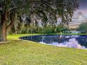 Scenic view of pond framed by lush greenery and an old tree, offering tranquility at 4617 Basswood St, Land O Lakes, FL 34639