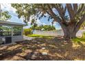 Spacious backyard with a large tree, new fence, and stepping stones leading through the manicured lawn at 6334 22Nd N Ave, St Petersburg, FL 33710