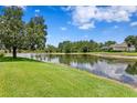 Scenic view of a tranquil pond surrounded by lush green grass and mature trees at 17807 Arbor Greene Dr, Tampa, FL 33647