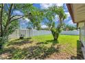 Expansive backyard featuring lush green grass and a privacy fence, perfect for outdoor activities at 4911 Bartelt Rd, Holiday, FL 34690