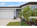 Close up of the front entrance with decorative plants, well maintained lawn at 6447 Bradford Woods Dr, Zephyrhills, FL 33542