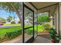 View from the screened-in front porch, showcasing the well-maintained front yard and neighborhood at 12156 Meadowbrook Ln, Largo, FL 33774
