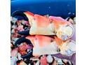 Freshly caught stone crab claws, showcasing the bounty of local seafood at 18093 Ohara Dr, Port Charlotte, FL 33948