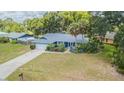 Charming single-story home with well-maintained lawn and mature landscaping, as seen from above at 23067 Brighton Pl, Land O Lakes, FL 34639