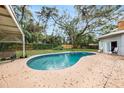 Backyard pool surrounded by a concrete patio, lush greenery and tall mature trees at 14803 Tulip Dr, Tampa, FL 33613