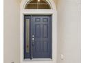 Stylish navy blue front door featuring a side window panel and a classic, inviting design at 2427 Nottingham Greens Dr, Sun City Center, FL 33573