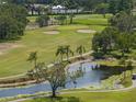 Picturesque view of lush green golf course with ponds and palm trees at 2617 Cove Cay Dr # 707, Clearwater, FL 33760