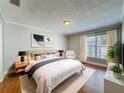 Serene main bedroom with a king-size bed, plush rug, and a large window for plenty of natural light at 6001 Lemon Tree Ct, Tampa, FL 33625