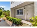 Charming townhome entrance with lush landscaping, window, and a welcoming door at 1813 Bough Ave # B, Clearwater, FL 33760
