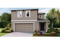 Two-story home with a two-car garage and a well-maintained front yard at 35887 Sunflower Hill Dr, Zephyrhills, FL 33541