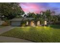 Charming one-story home with well-manicured lawn, palm trees, and a welcoming front entrance at 4307 Foxglen Ln, Tampa, FL 33624