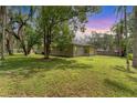 Expansive backyard with lush lawn, mature trees, and plenty of room for outdoor activities at 7809 E 114Th Ave, Temple Terrace, FL 33617